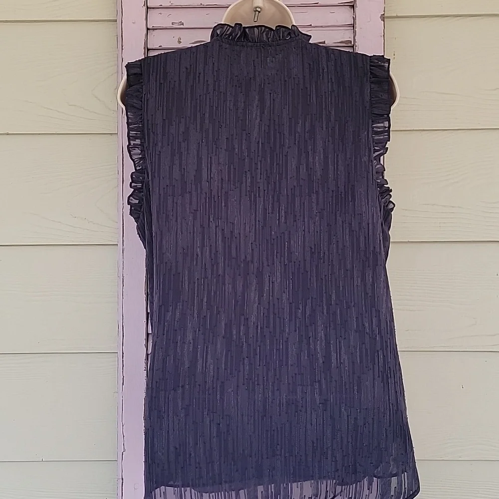 NWT ๐ JOIE Chic Ruffle Sleeveless V-Neck Lined Blouse Top M - Picture 7 of 10